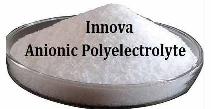 Anionic Polyelectrolyte Powder Manufacturer and Exporter